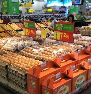 大连鸡蛋